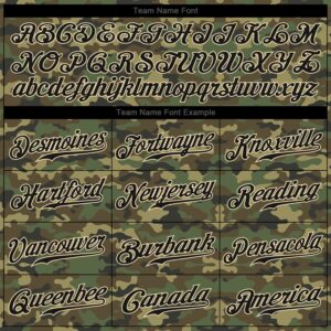 Custom Camo Black-Cream Authentic Salute To Service Baseball Jersey